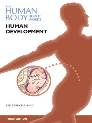 cover image of Human Development